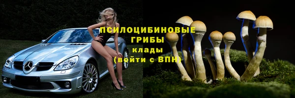 соль курить ск Богородицк