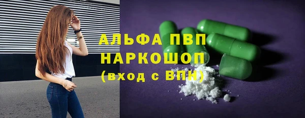 твердый Богданович