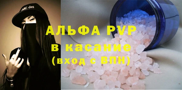 твердый Богданович
