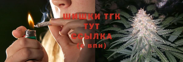 твердый Богданович