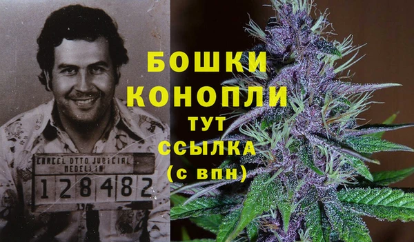 твердый Богданович