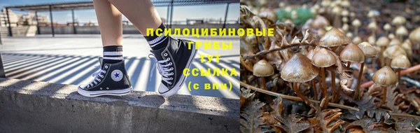 соль курить ск Богородицк